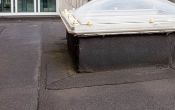disadvantages of Eppleworth flat roofs