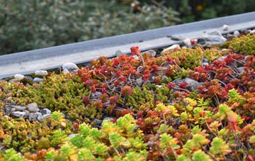 the cost of Eppleworth green roof installation