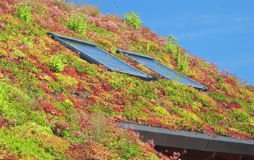 Eppleworth living roof systems