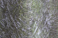 Eppleworth fibreglass roof work